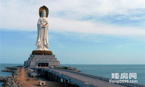 鲁大鸡排