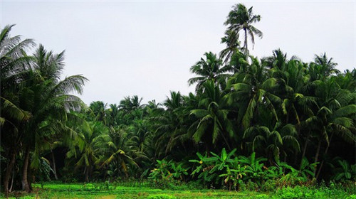 宇食天下喷泉火锅