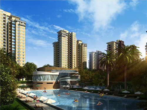 平舆桃花园奶茶店在哪里，平舆订奶电话