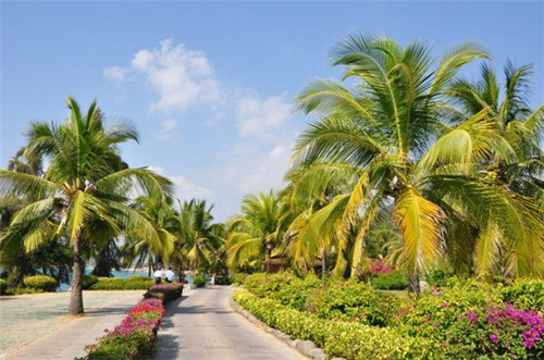 火锅店创意设计，火锅店设计案例文案简短