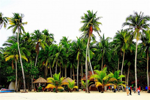 宁远麻辣火锅加盟费多少钱