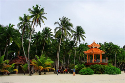 芹菜炒杨柳丝怎么炒（芹菜炒牛柳的家常做法窍门）