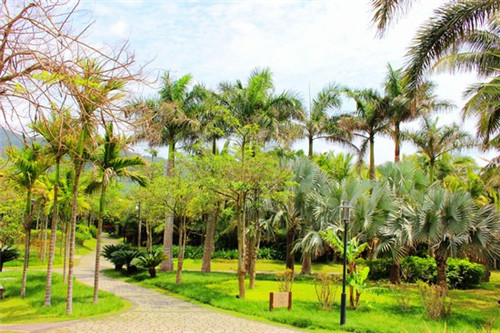 私自列资100万会判几年（私自集资犯法吗）