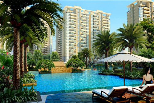 蜱虫叮咬症状判断方法（蜱虫叮咬的处理方法）