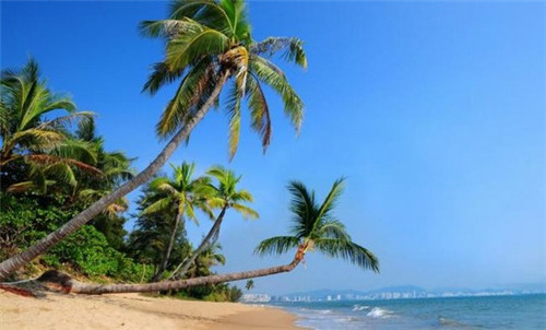 小孩起名看什么书籍好（小孩起名看什么书籍好呢）