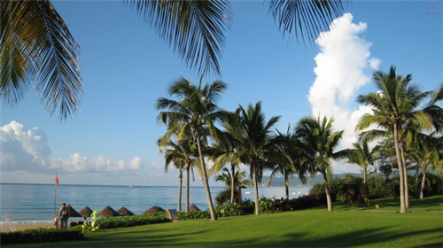 电场线异种电荷（异种电荷的电场）